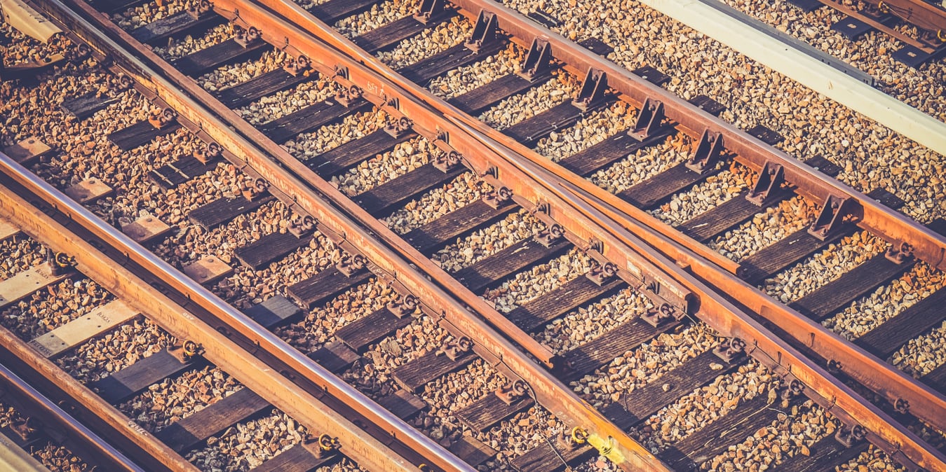 Roots of labor day-556444-edited.jpg